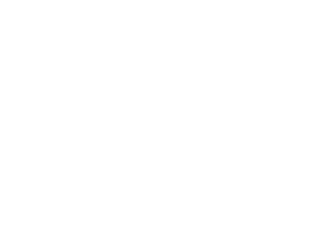 Urban Bonfire Logo